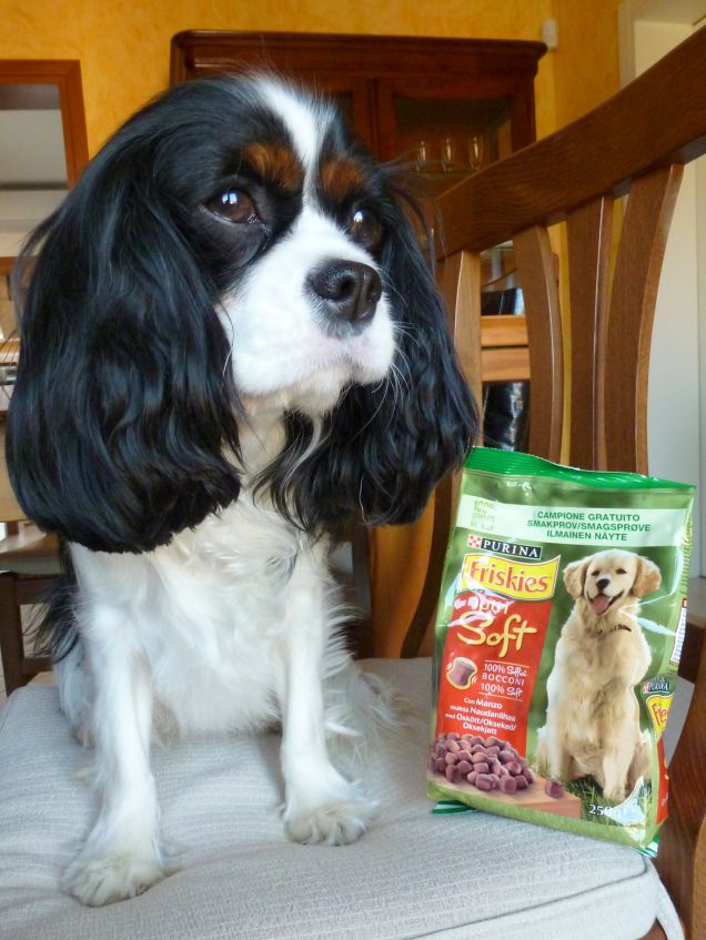 Sally con l'omaggio ricevuto per il sondaggio 'Che crocchetta sei?'