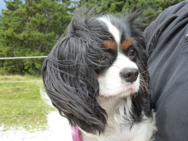 vento tra i capelli :)