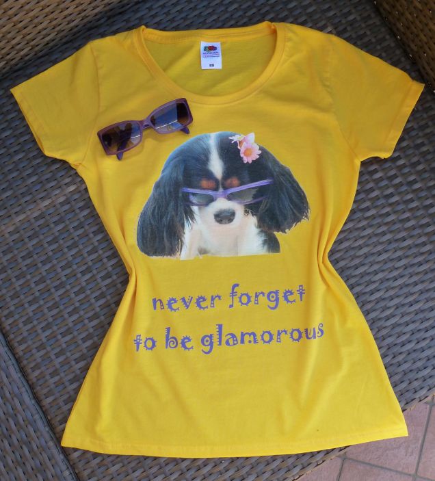 t-shirt ricevuta in regalo