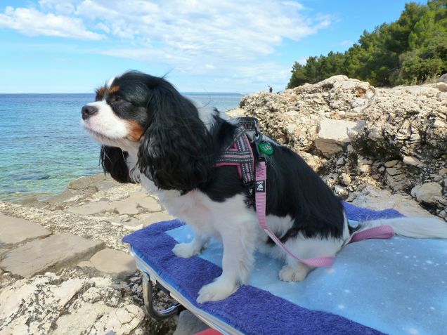 Cres - Croazia estate 2015