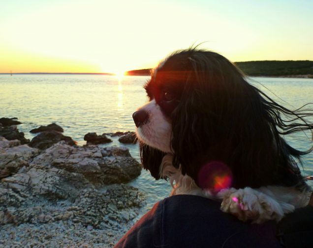 Cres - Croazia estate 2015