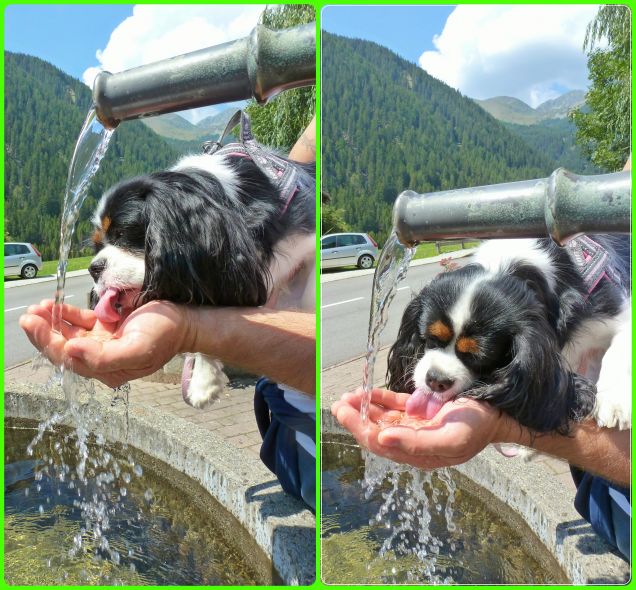 consiglio per l'estate: bere molta acqua!