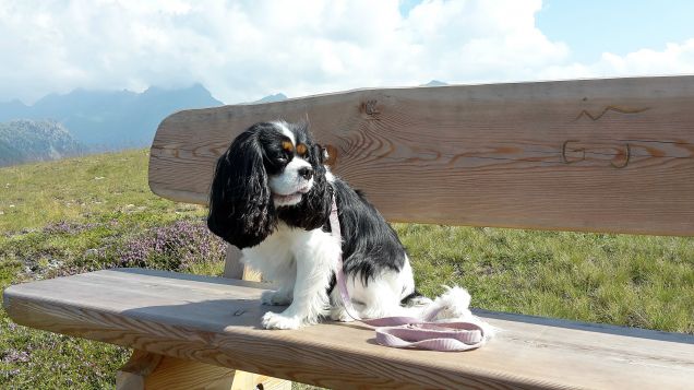 panchina in montagna (2)