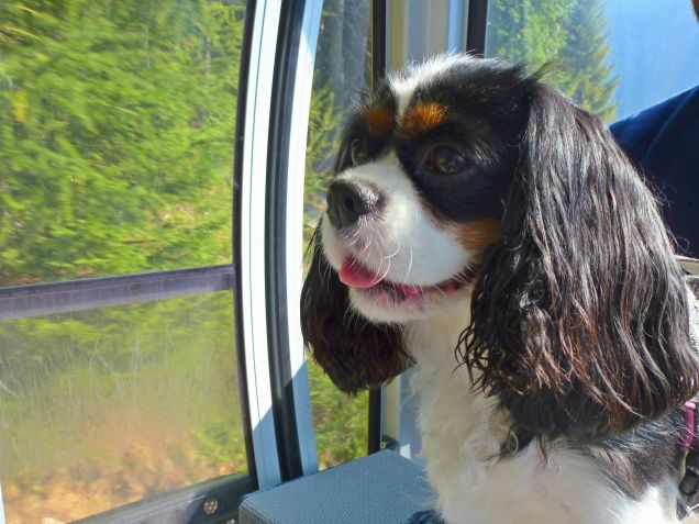 in montagna: su in alto con la cabinovia!