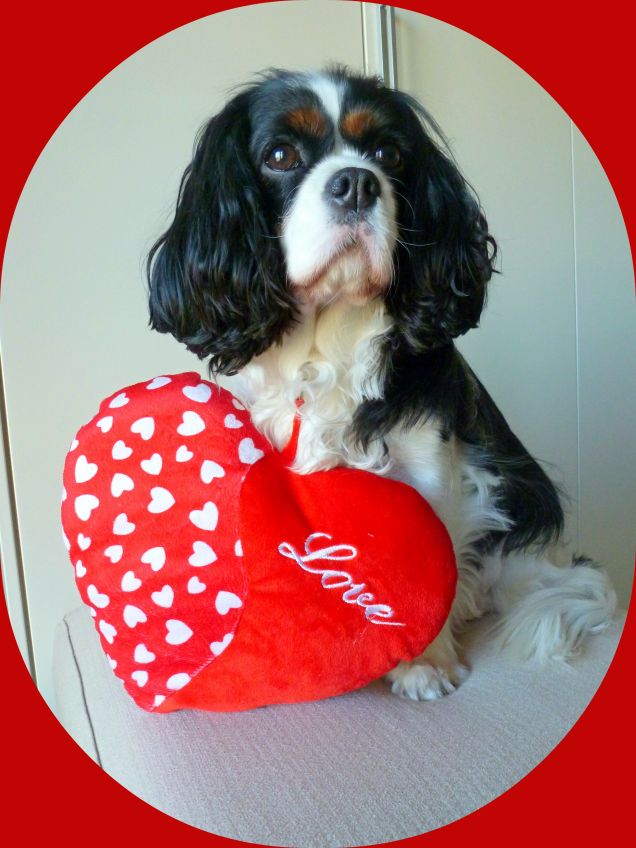 Buon San Valentino 2016