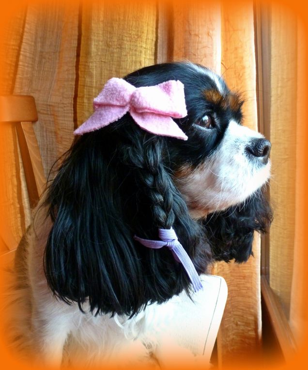 Sally con la treccina :)