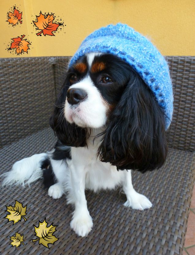 Sally con la berretta azzurra