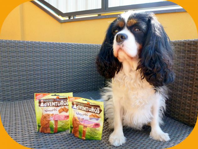 Adventuros snack (1)