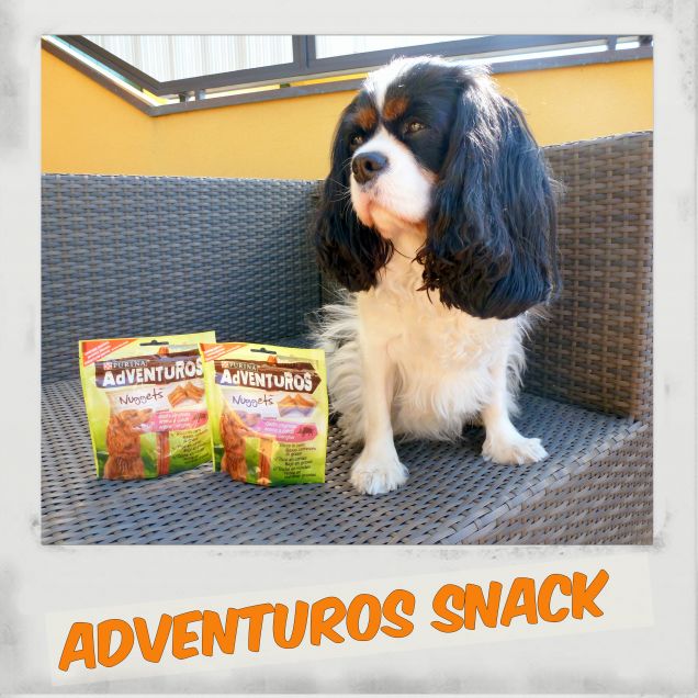 Adventuros snack (2)
