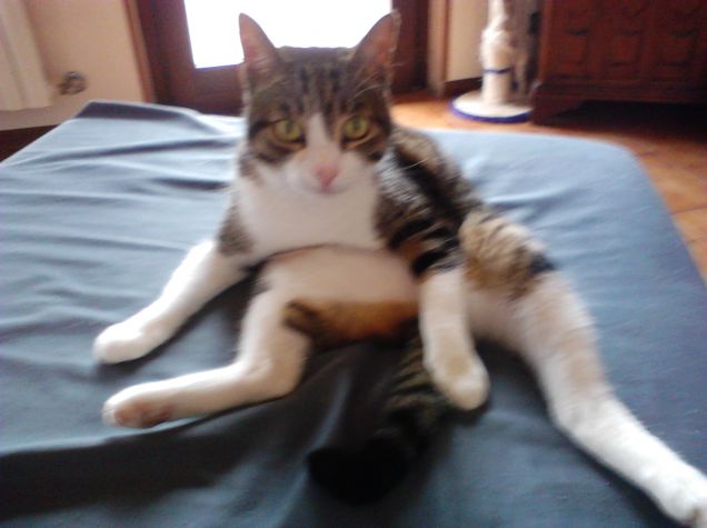 Tami durante il bagnetto