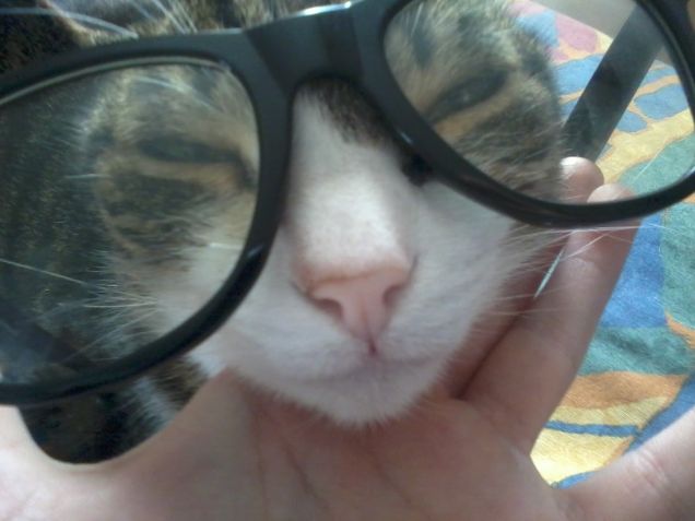 Tami il simpaticone!