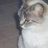 Sonia