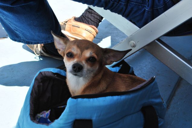 Wendy è pronta per la vacanza