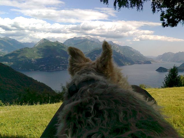 FINALMENTE SIAMO IN VACANZA!