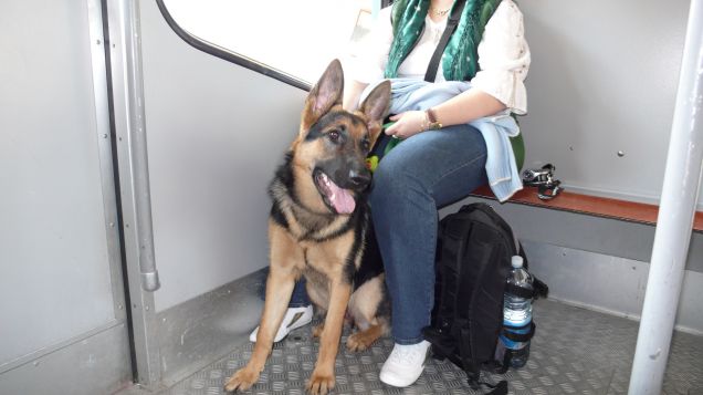 tutti in funicolare!!!