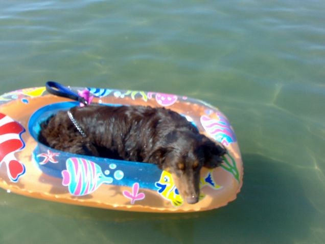 Relax in barca........