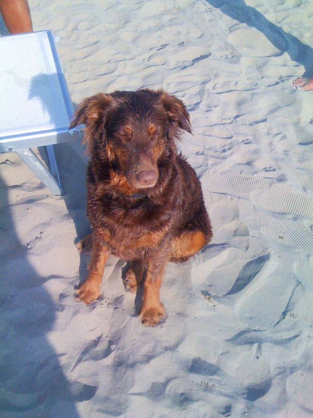 E dopo il bagno un po' di sole.....