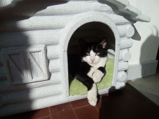 Al sole
