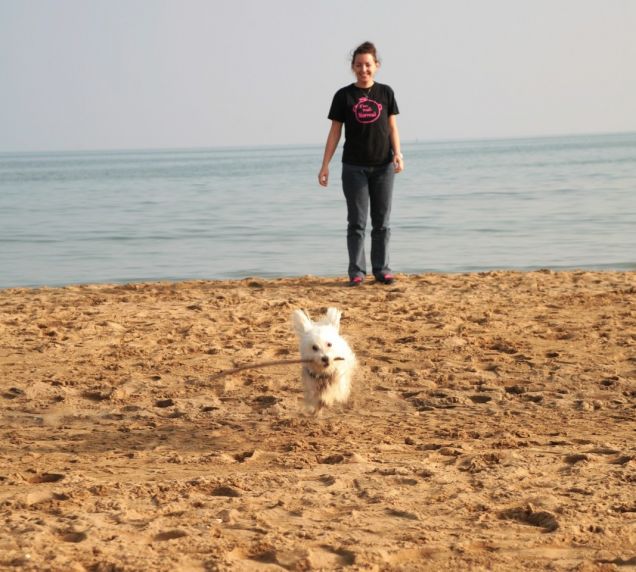 Se felice un cane vuoi fare, sulla sabbia fallo giocare!
