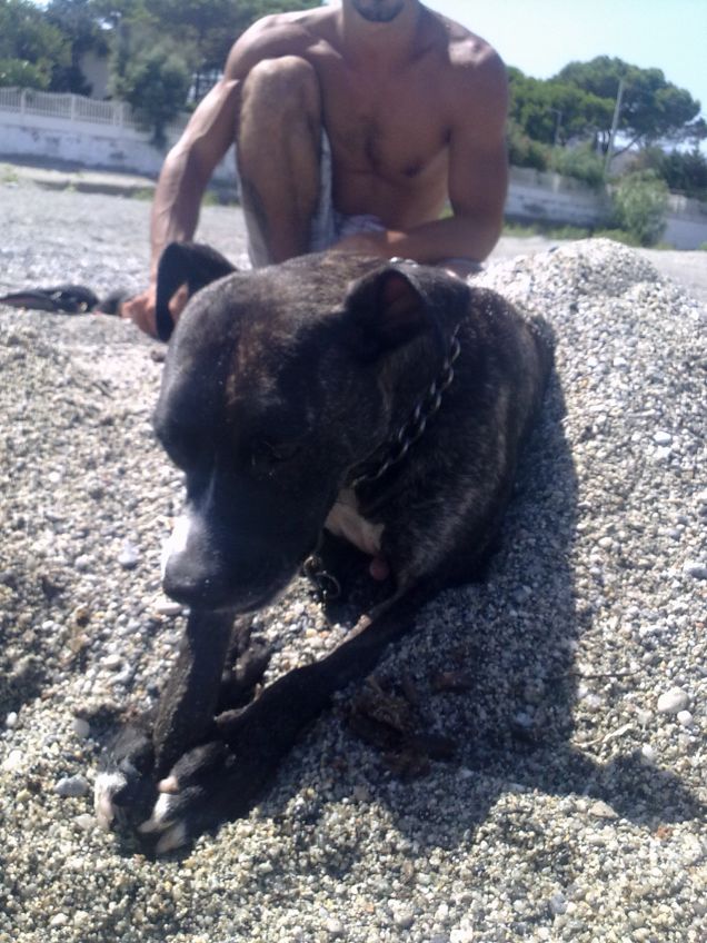 nikita e le sue pile inscaricabili