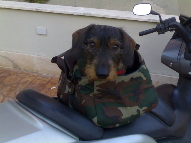 In moto con papà