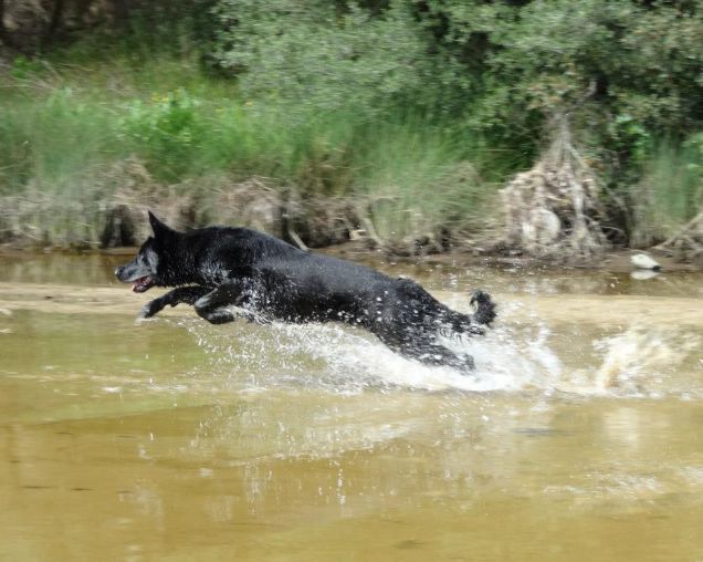 Corendo sopra l'acqua..