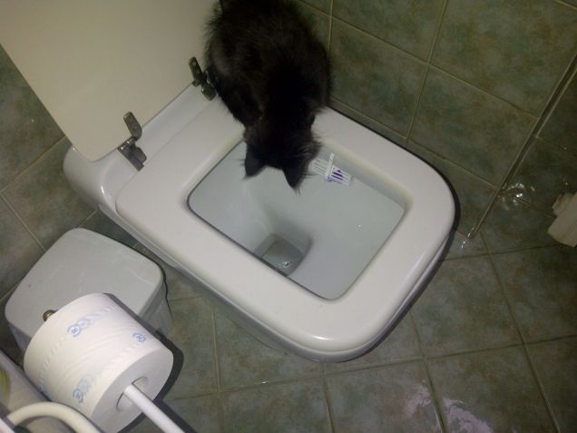 Strane esplorazioni.........