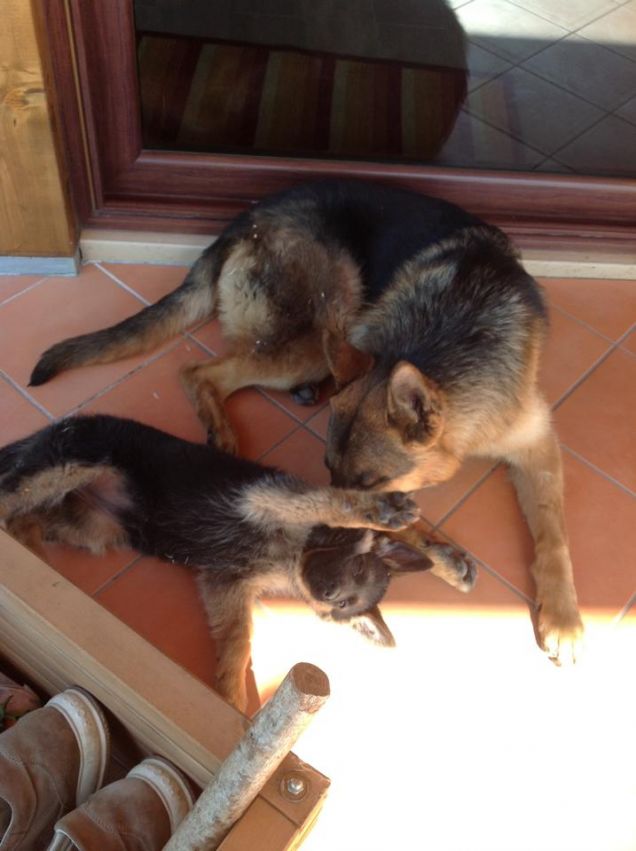 Si litiga anche in vacanzaaa