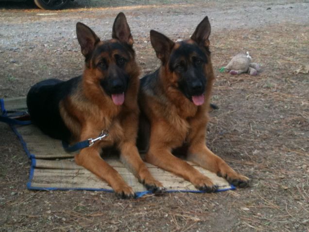 insieme sulla stuoia