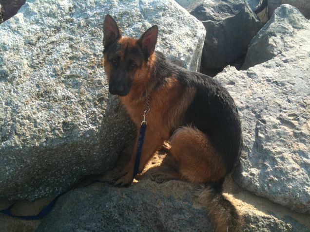 Cosi' non mi bagno i piedi...