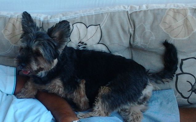 elettra sta sul dondolo con me