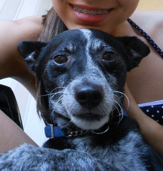 Vacanza con ferraglia