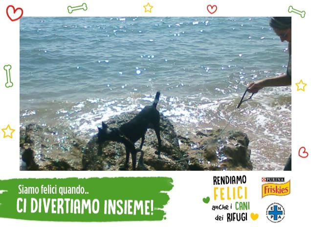 Lì dove il mare luccica...