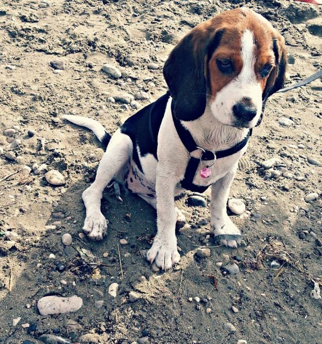 che bel bagnetto al mare