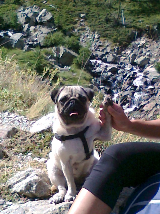 Ce l'abbiamo fatta !