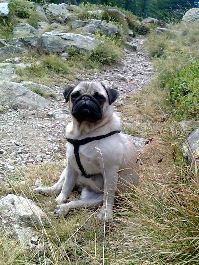 Minnie la giovane 'Marmotta'