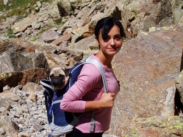 Vengo anch'io ....ma dammi un passaggio !