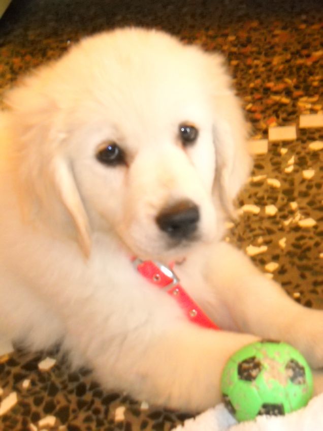 dopo il mare la piccola gioca