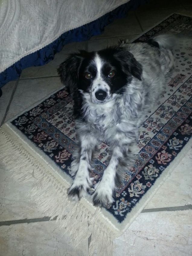 LA PRINCIPESSA BIRBA