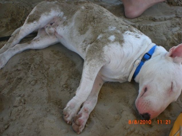 La mamma mi fa gli scherzi