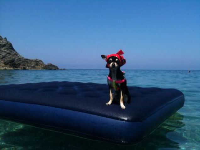 saluti dalla Sardegna