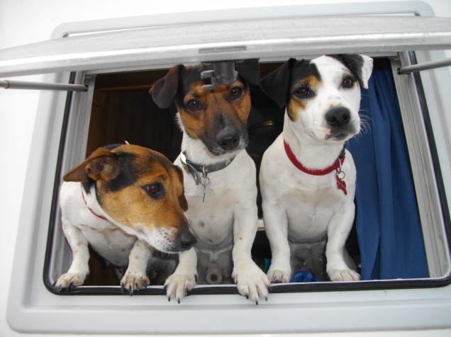 eccoci anche noiiiiiiiiiiiii!!