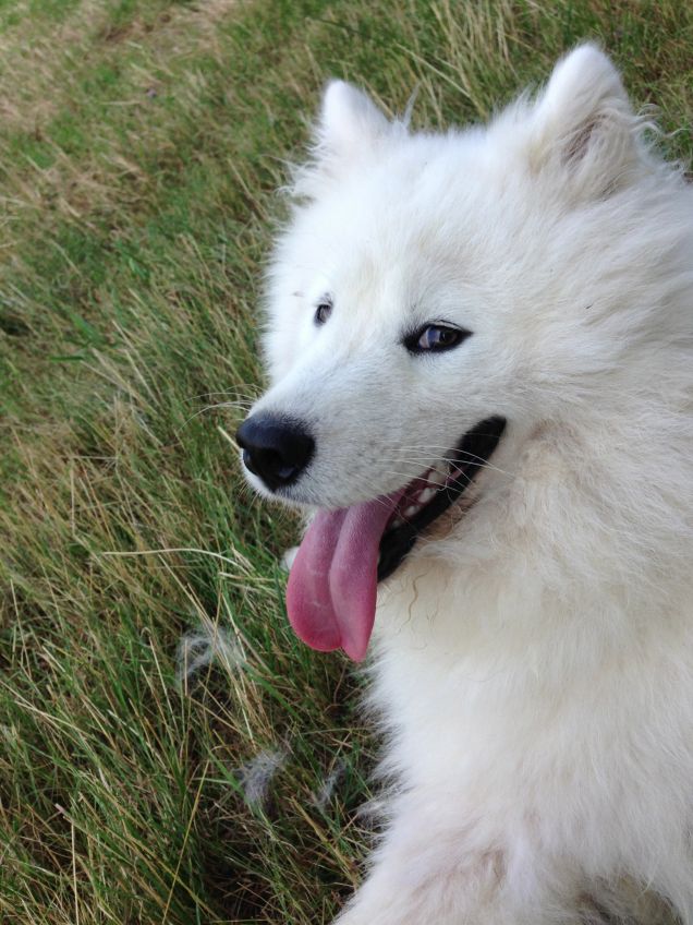 In vacanza...SEMPRE!