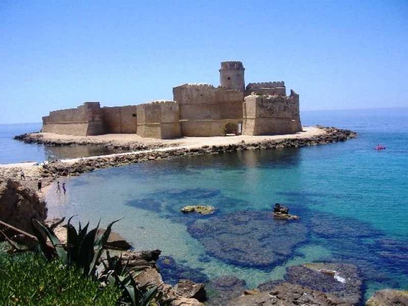 ammessi animali di qualsiasi taglia