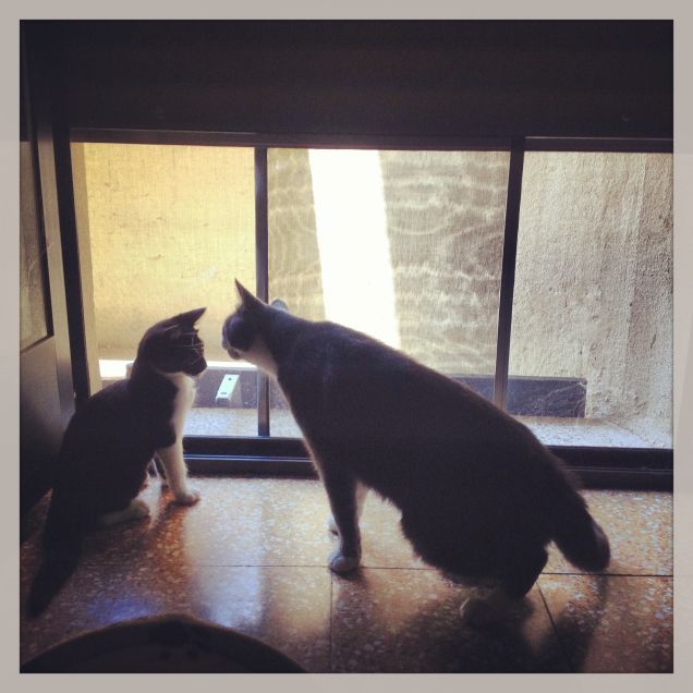 ehi tu!!!!!!!!!!!!!!!