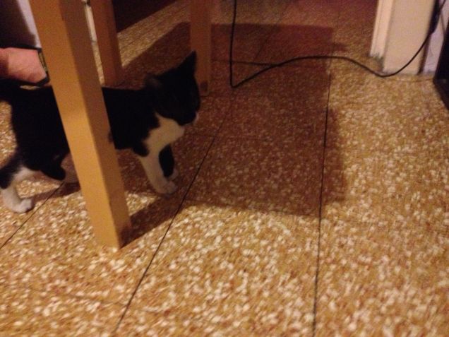 ESPLORANDO QUA E LA...