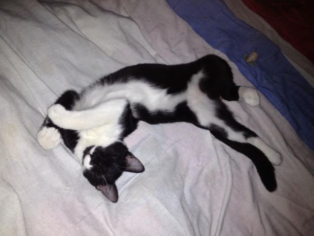 sul letto in albergo... Io me la ronfo!!!!!!!!!!!!!!!!!!