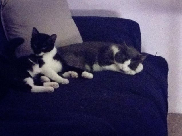 dobbiamo stare... vicini vicini... !!!!!!!!!!!!!