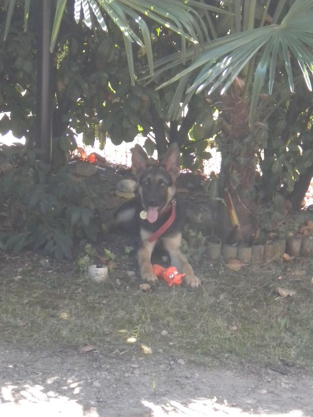 il primo giorno a casa