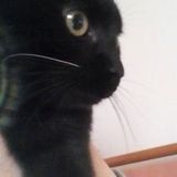 Mariapia